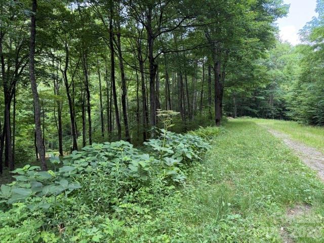 Land for sale in Haywood, North Carolina