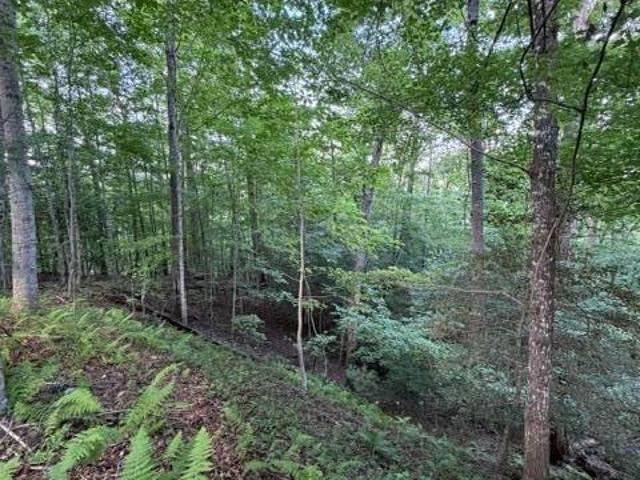 Land for sale in Hiwassee, Murphy