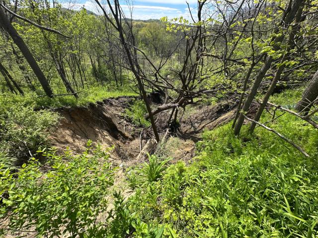 Land for sale in Galesville, Wisconsin
