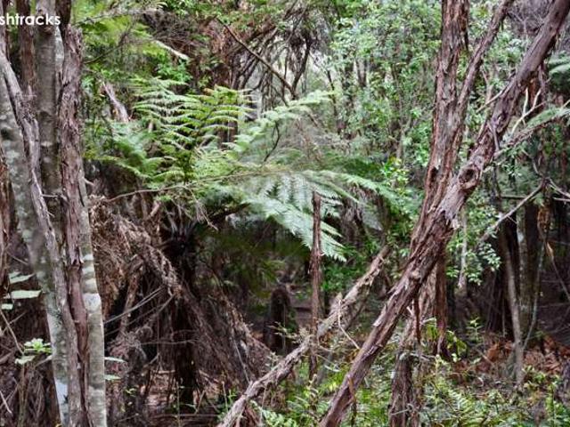 Property for sale in Tairua, Waikato