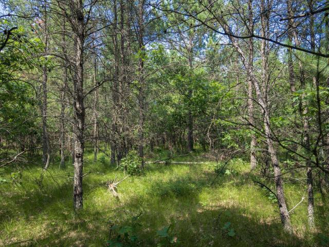 Land for sale in Juneau, Wisconsin