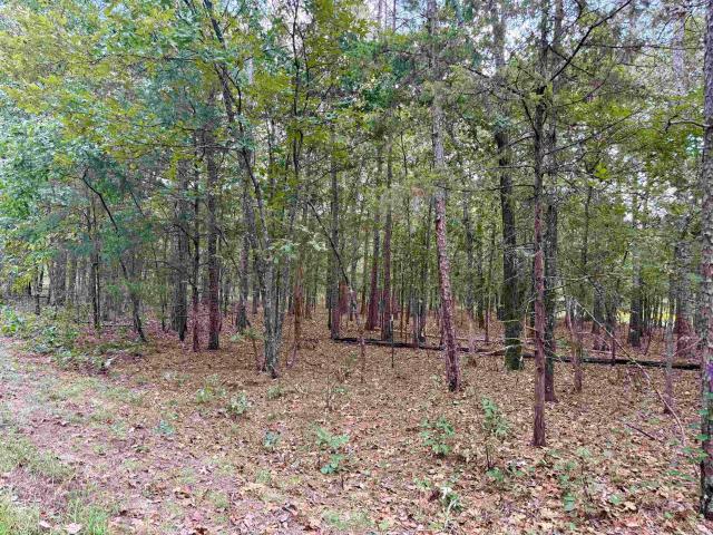 Land for sale in Ark