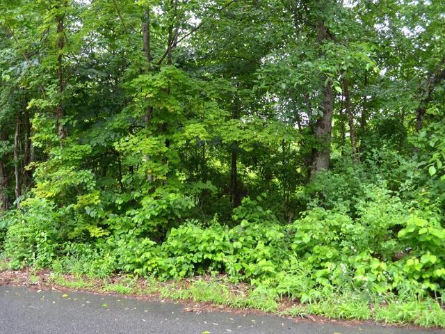 Land for sale in Ware, Massachusetts