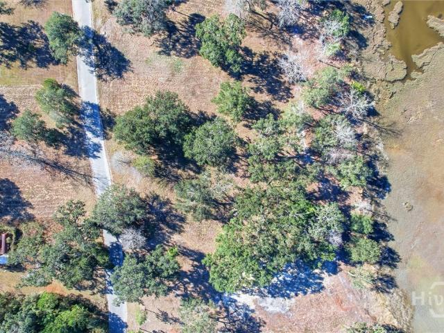 Land for sale in Midway, Georgia