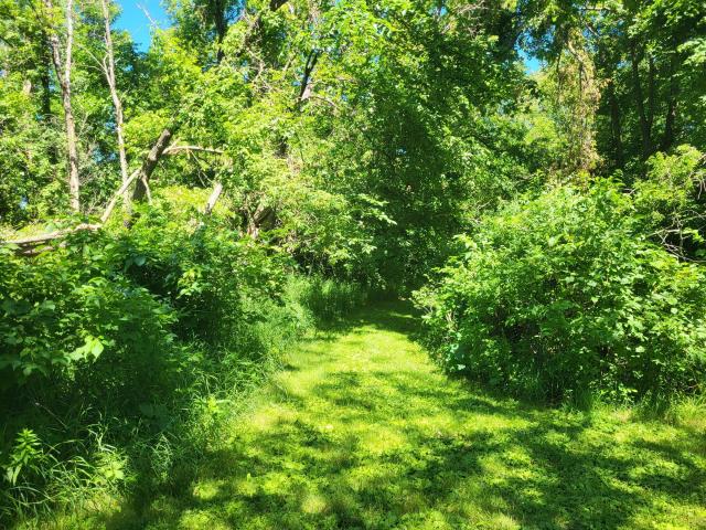 Land for sale in Garfield, Minnesota