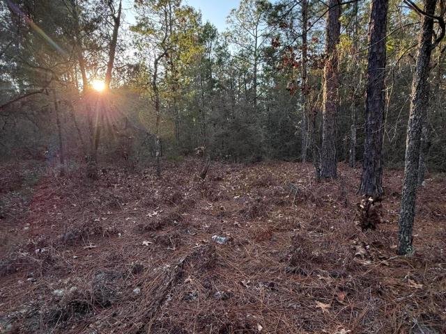 Land for sale in Walton, Florida