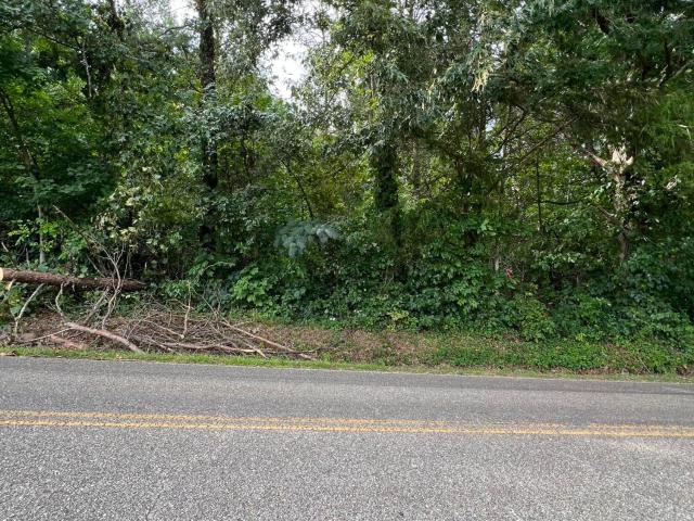 Land for sale in Tennessee