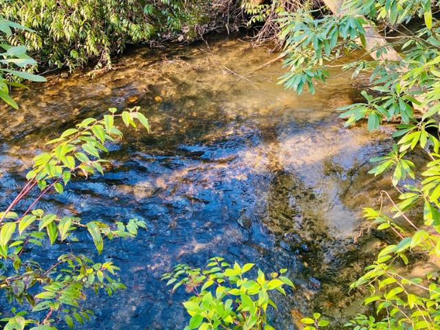 Land for sale in Graham, North Carolina
