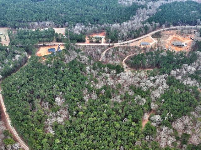 Land for sale in Madison, Georgia