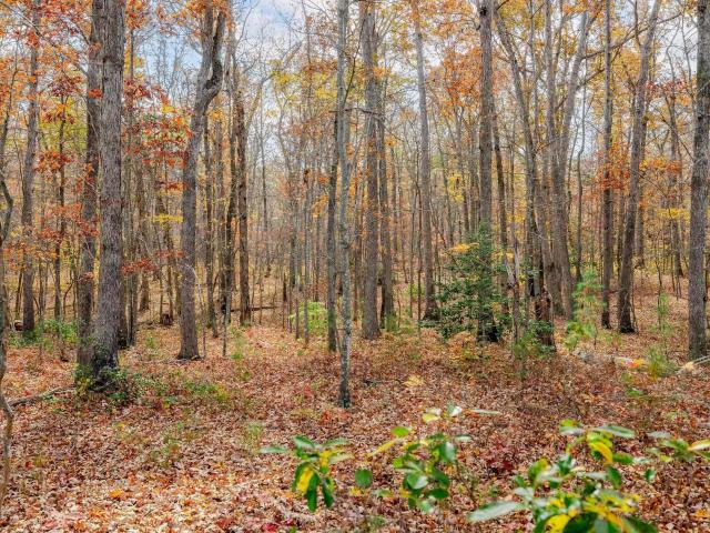 Land for sale in Virginia