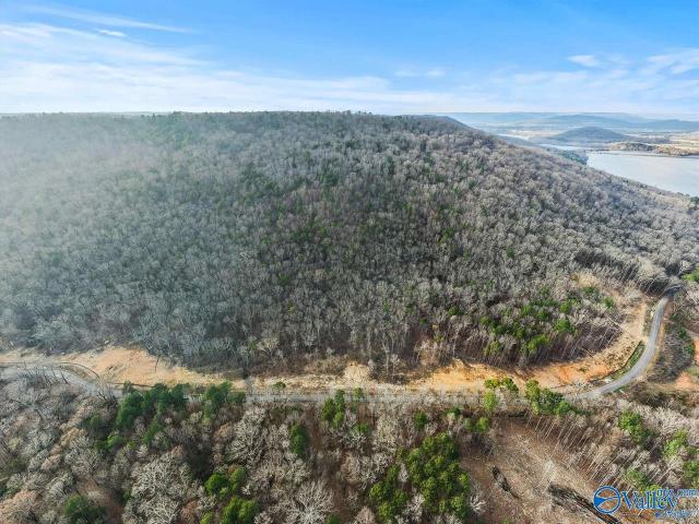 Land for sale in Scottsboro, Alabama