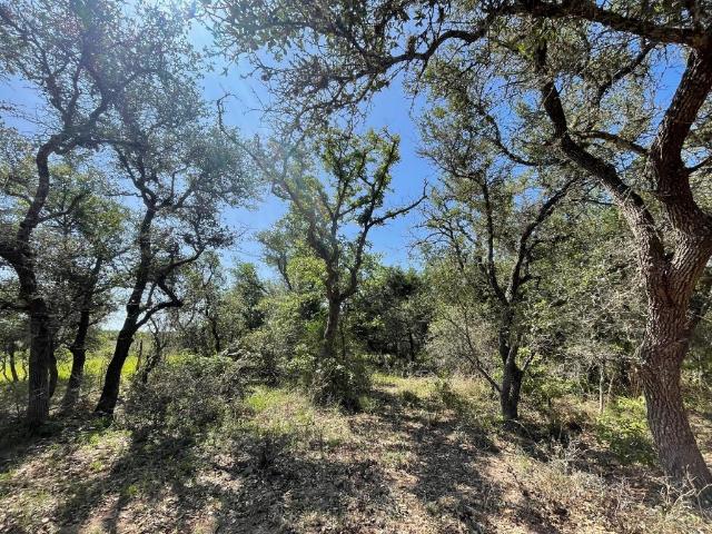 Land for sale in Hallettsville, Texas