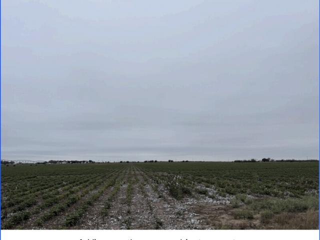 Land for sale in Knippa, Texas