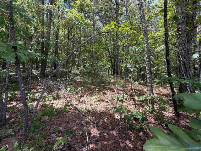 Land for sale in Leesburg, Alabama
