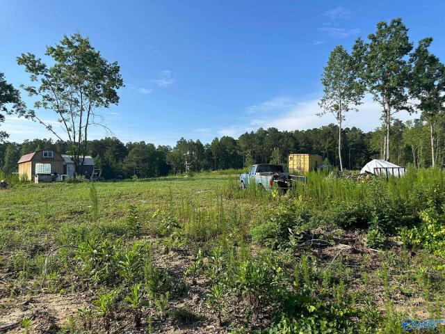Land for sale in Alabama