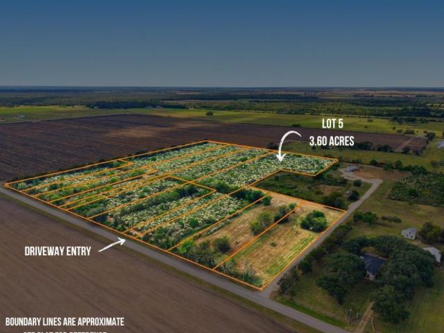 Land for sale in Damon, Texas