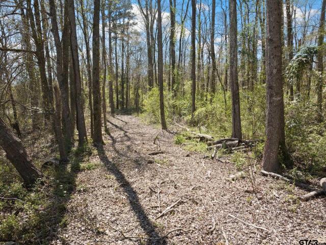 Land for sale in Titus, Texas