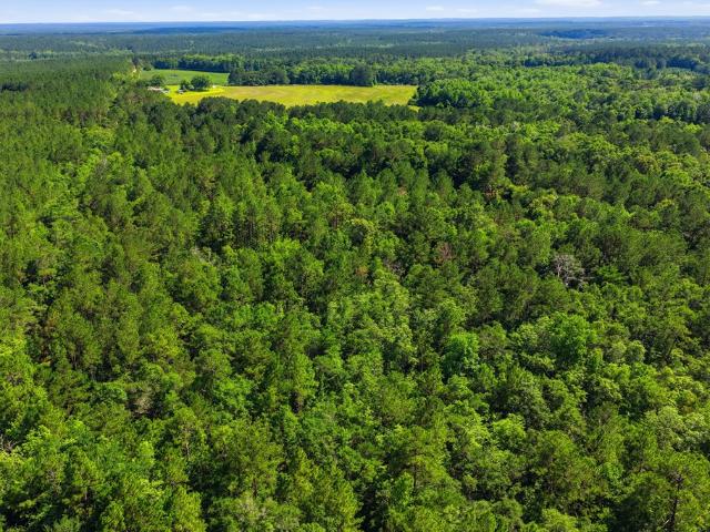Land for sale in Opp, Alabama