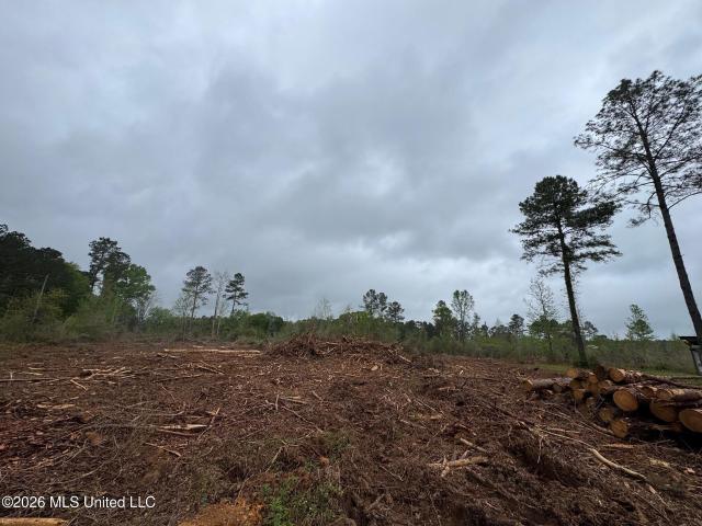 Land for sale in Tylertown, Mississippi