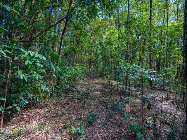 Land for sale in Kuranda, Queensland