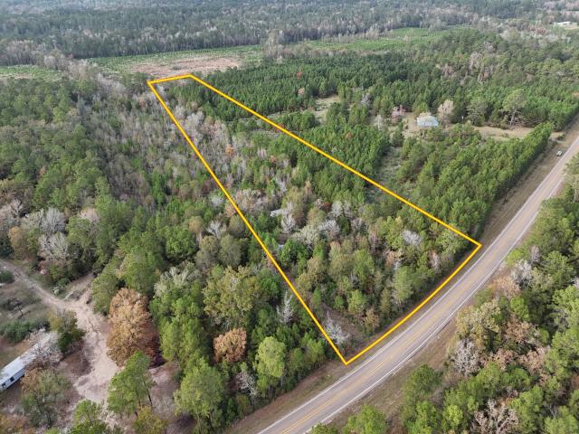 Land for sale in Polk, Texas