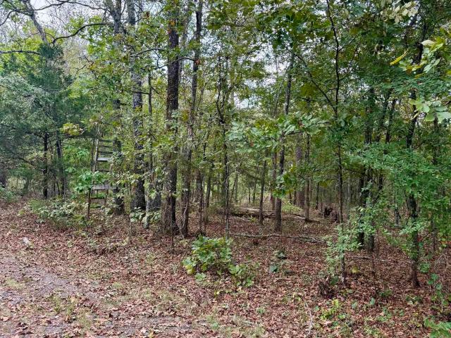 Land for sale in Higden, Cleburne County