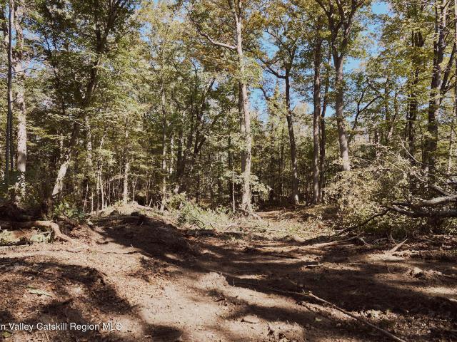 Land for sale in Lake Katrine, Ulster County