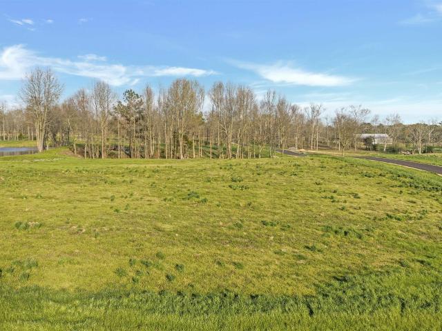 Land for sale in Rainsville, Alabama