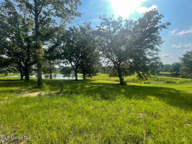 Land for sale in Lucedale, Mississippi