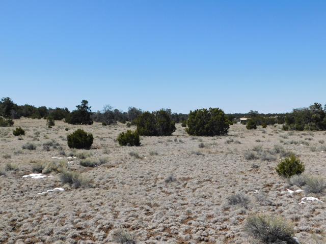 Land for sale in Catron, New Mexico