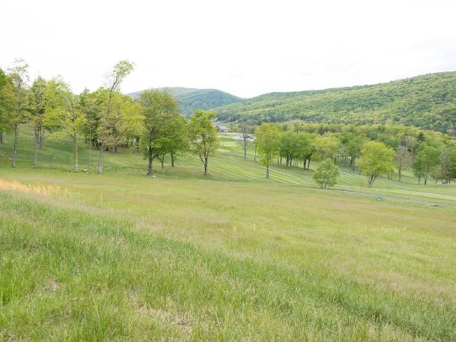Land for sale in Franklin, Pendleton County