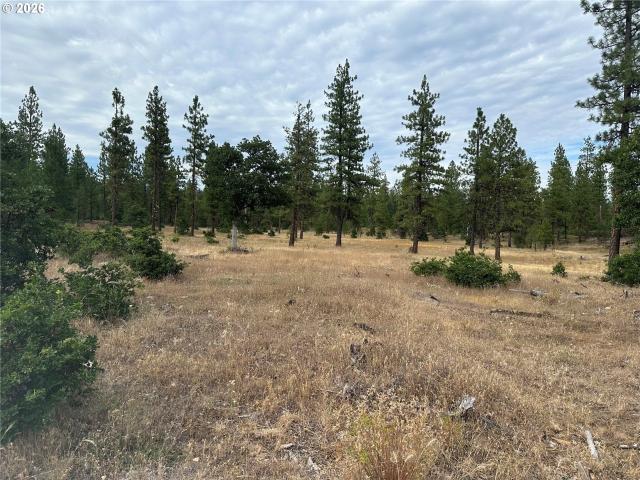 Land for sale in Goldendale, Klickitat County