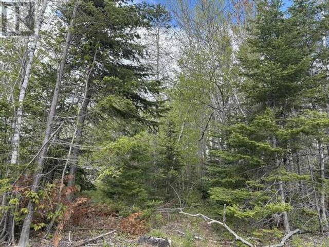 Land for sale in Hants, Nova Scotia
