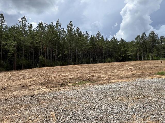Land for sale in Franklinton, Louisiana