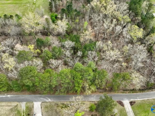 Land for sale in Etowah, Alabama
