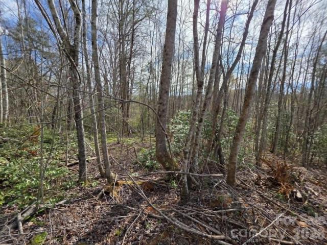 Land for sale in Old Fort, North Carolina