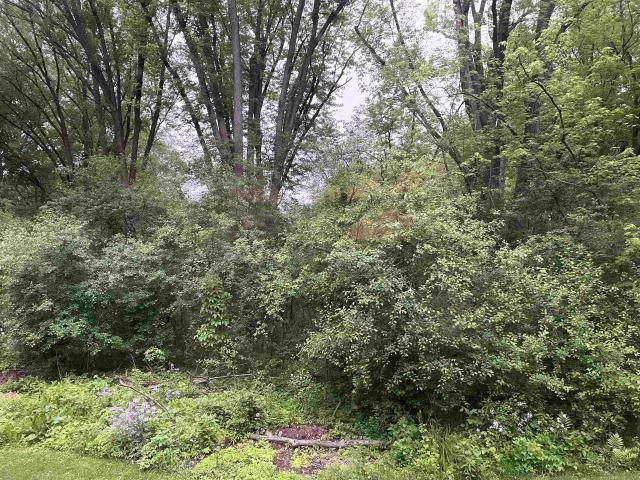 Property for sale in Cambridge, Wisconsin