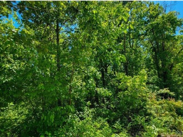 Land for sale in Barnett, Missouri