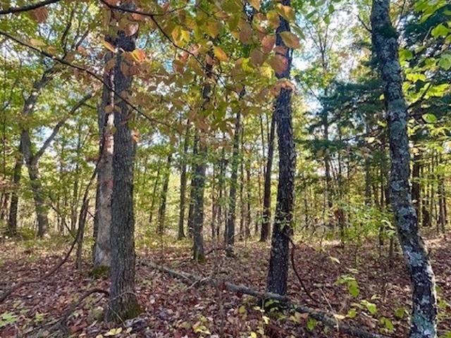 Property for sale in Barnett, Missouri