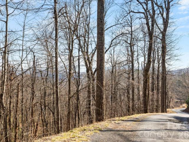 Land for sale in Black Mountain, North Carolina