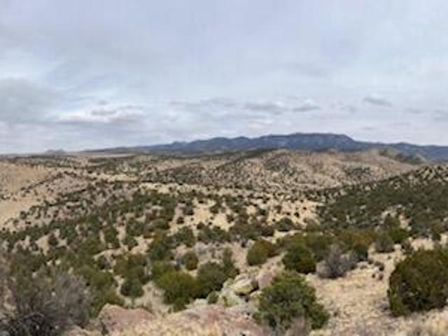 Land for sale in Magdalena, New Mexico