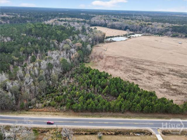 Land for sale in Springfield, Georgia