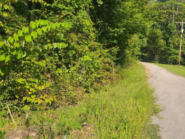 Land for sale in Tennessee