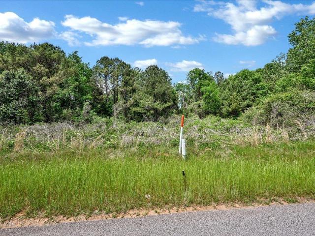 Land for sale in Falkville, Alabama