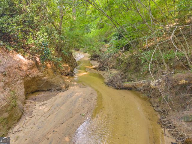 Land for sale in Elbert, Georgia