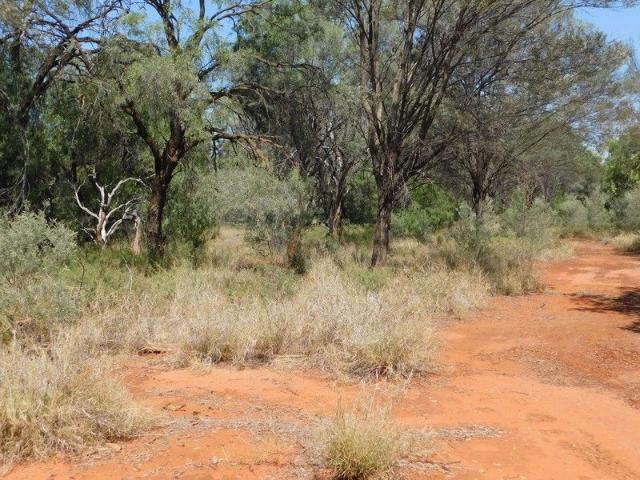 Land for sale in Murweh, Queensland