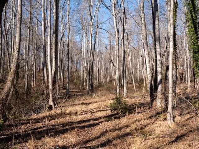 Land for sale in Pilot Mountain, North Carolina