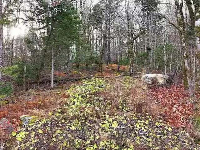 House for sale in Camperdown, Nova Scotia