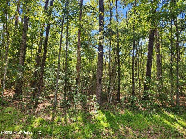 Land for sale in Picayune, Pearl River County