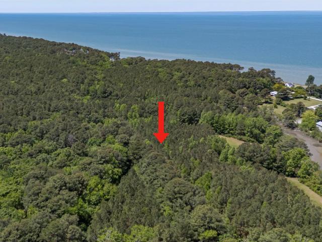 Land for sale in Virginia